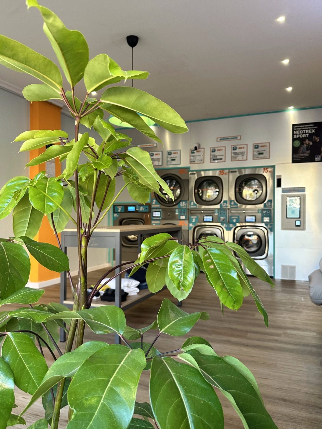 Lavandería Seco y Espuma Fuengirola Interior de Lavandería Seco y Espuma Fuengirola con mesas, bancos y máquinas de lavandería. Luz tenue y decoración moderna.